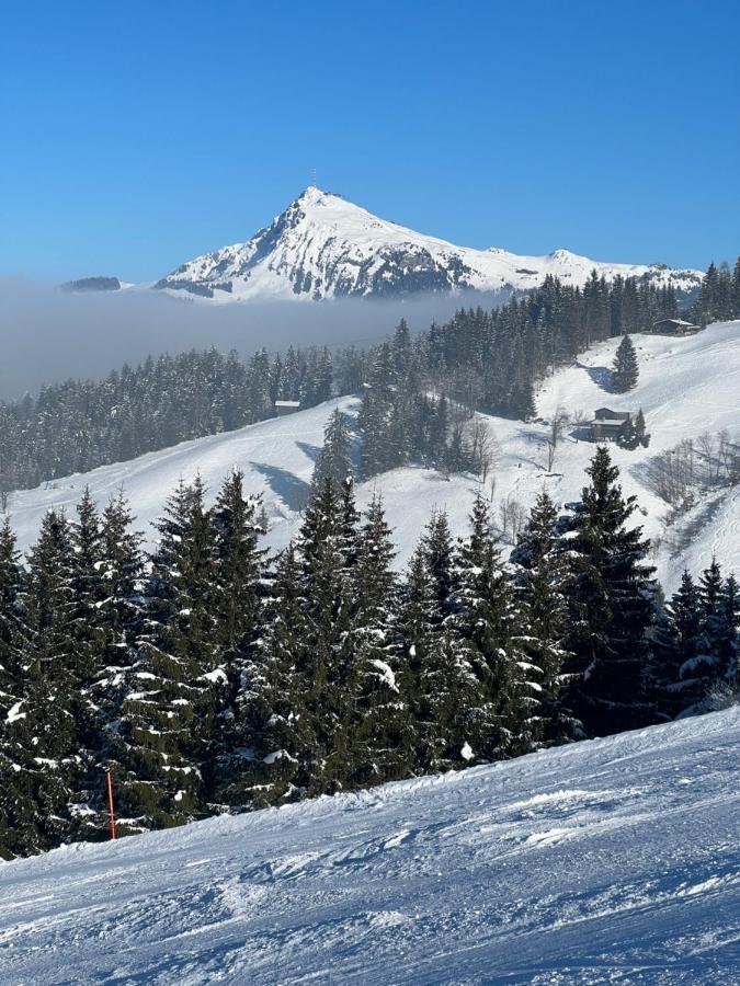 Appartement Gernot Kirchberg in Tirol Dış mekan fotoğraf